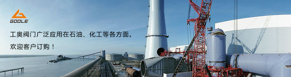 Y型过滤器